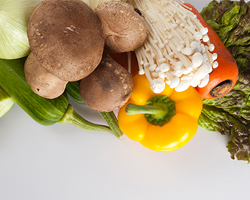 College of Human Ecology