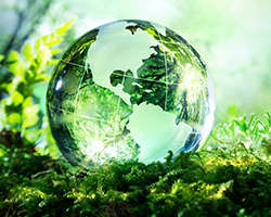 College of Science & Convergence Technology