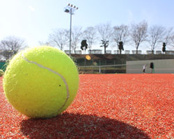 College of Sports & Arts