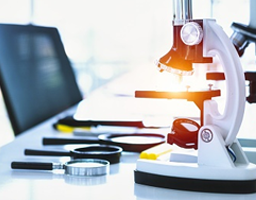 Scholarworks (서울)