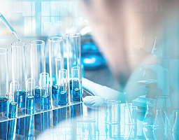 Scholarworks (ERICA)